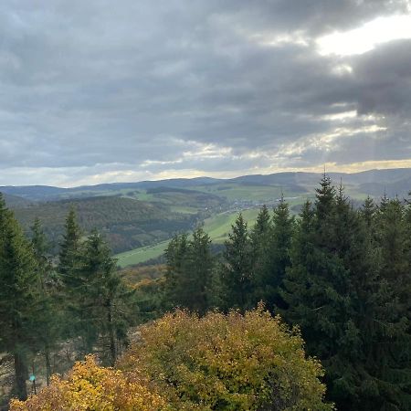 Schoenwald Waldchalet Am Musenberg Stryck Dış mekan fotoğraf