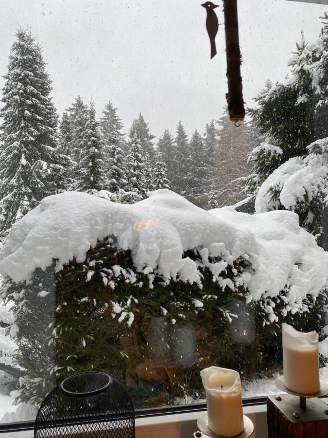 Schoenwald Waldchalet Am Musenberg Stryck Dış mekan fotoğraf