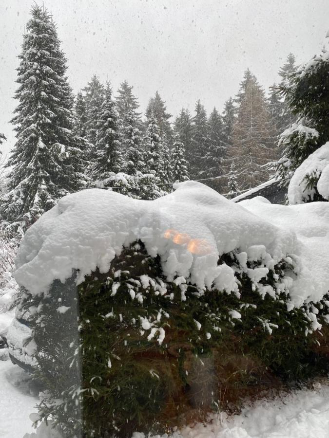 Schoenwald Waldchalet Am Musenberg Stryck Dış mekan fotoğraf