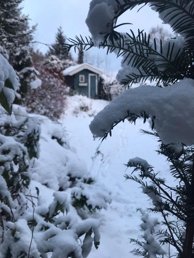 Schoenwald Waldchalet Am Musenberg Stryck Dış mekan fotoğraf