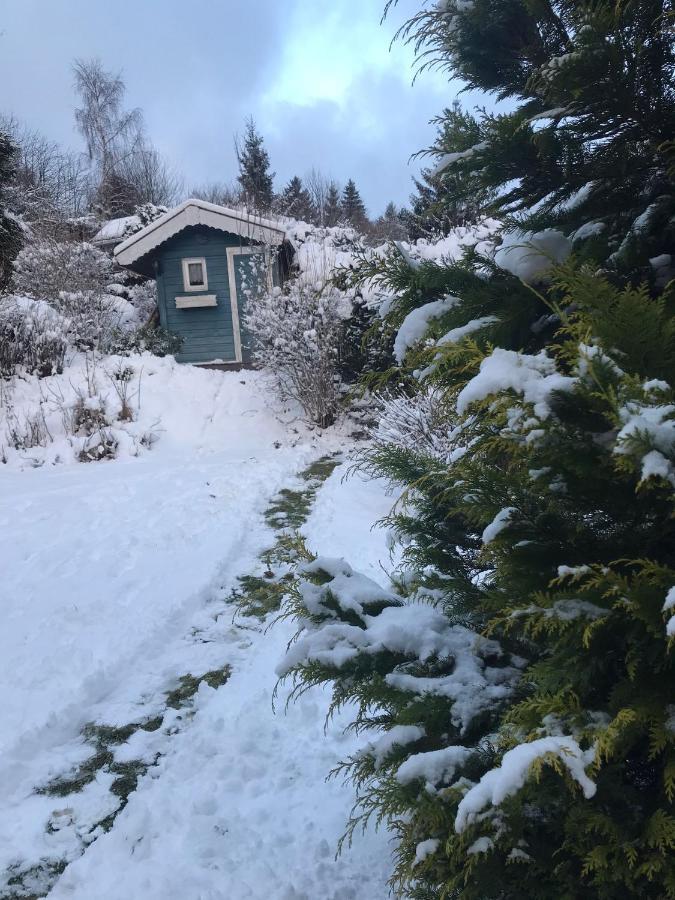 Schoenwald Waldchalet Am Musenberg Stryck Dış mekan fotoğraf