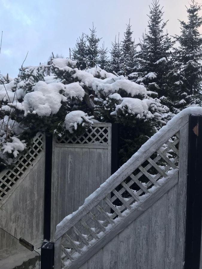 Schoenwald Waldchalet Am Musenberg Stryck Dış mekan fotoğraf