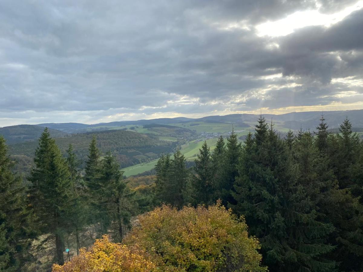 Schoenwald Waldchalet Am Musenberg Stryck Dış mekan fotoğraf